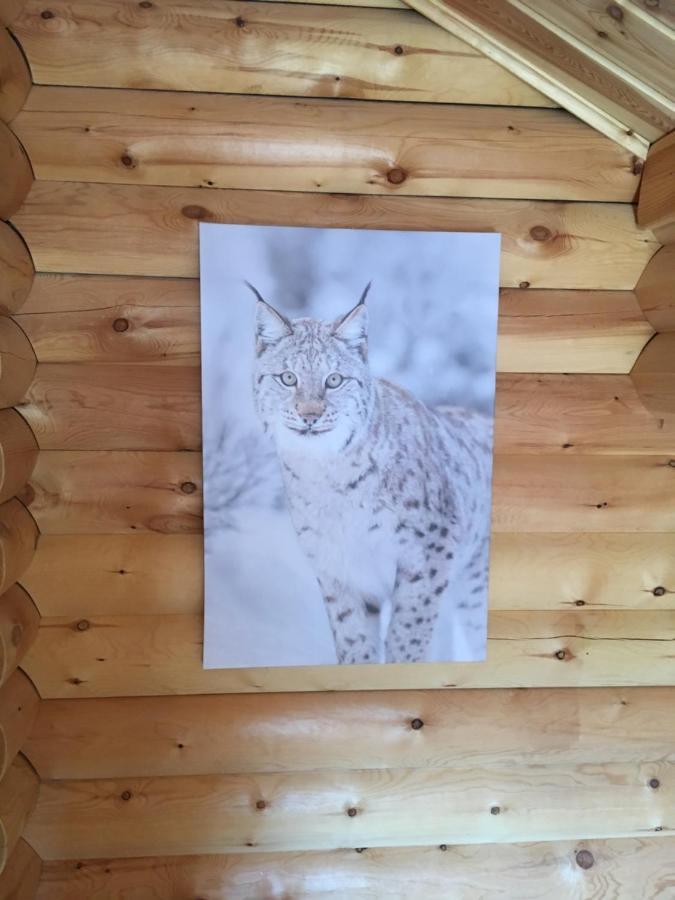 Villa Le Syote Xonrupt-Longemer Esterno foto